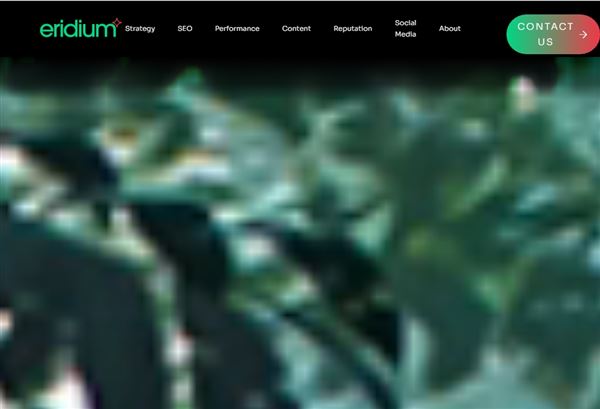 Digital Marketing Agency - Eridium